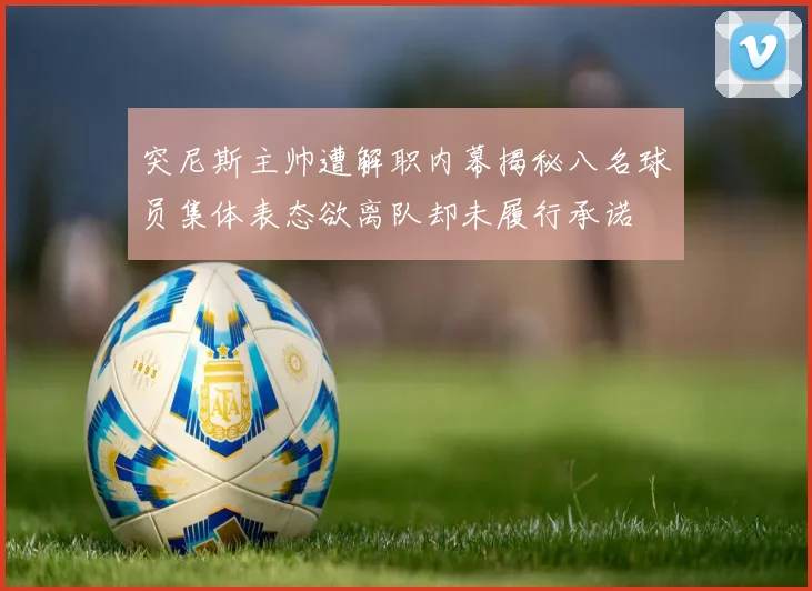 突尼斯主帅遭解职内幕揭秘八名球员集体表态欲离队却未履行承诺